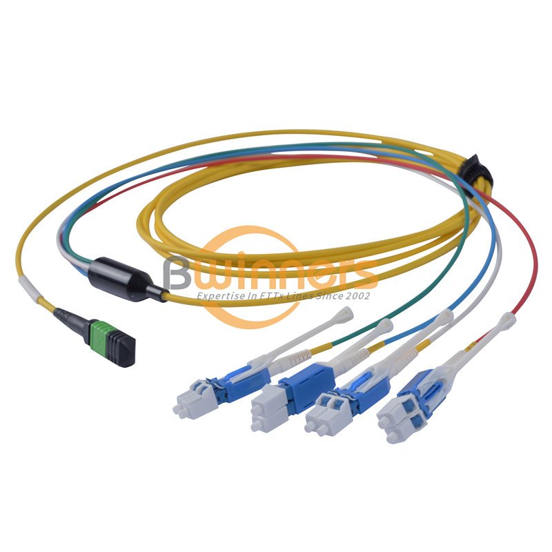 电缆de conexión MPO